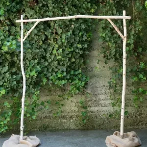 B. Wedding Arch Birch - Click on picture for more information