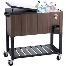 Thermo – Cooler on Wheels